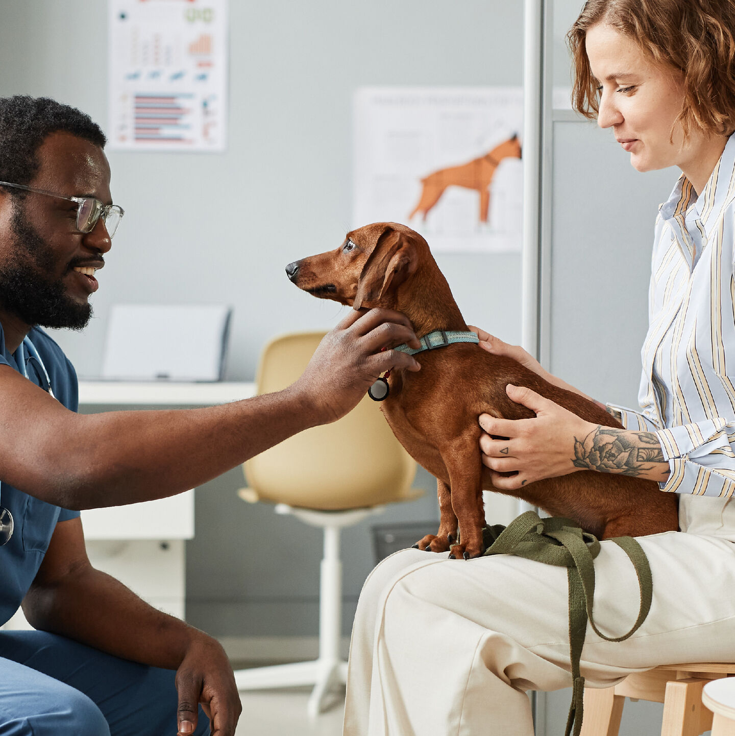 <strong>VISITING THE VET AND HOW TO CALM A STRESSED OR ANXIOUS DOG</strong><br><br>Trips to the vet are a regular part of looking after your dog. But whether it&rsquo;s boosters or...